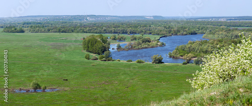 A flowering shrub in the background of the Don river valley in the central part of Russia. Panoramic view from the top on a spring meadow with grass and pond.