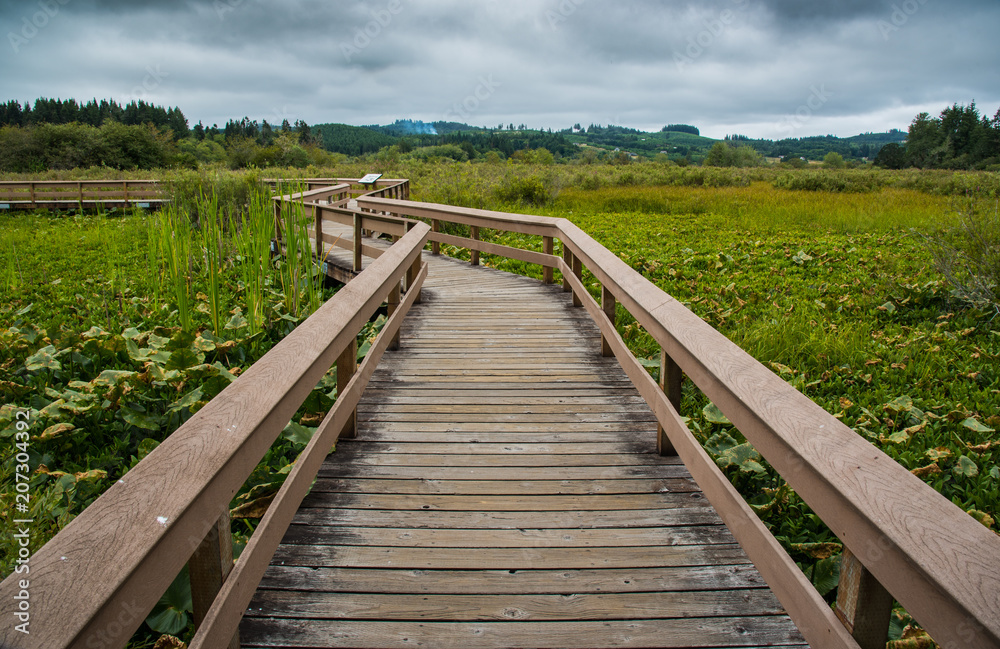 wooden foot bridge over meadow grasslands