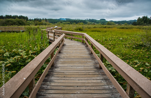 wooden foot bridge over meadow grasslands © Nicholas Steven