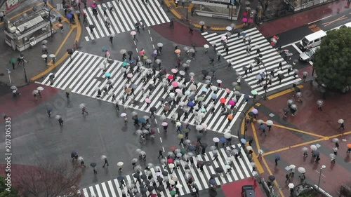  Shibuya, Shibuya Crossing, crowds of people crossing the famous crosswalks at the centre of Shibuyas fashionable shopping and entertainment district, elevated view, Tokyo, Japan, Asia photo