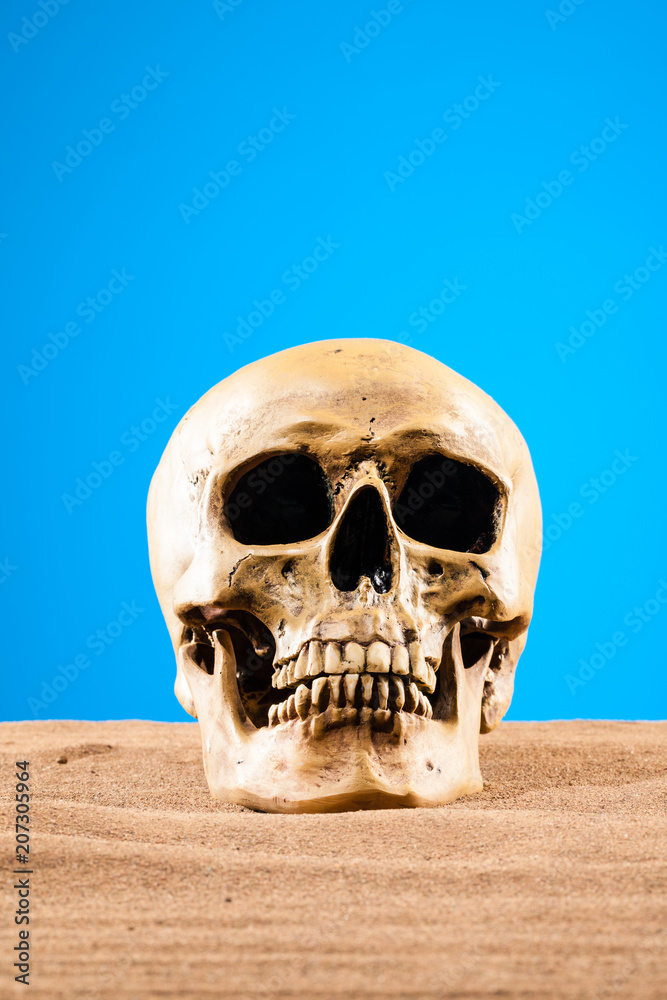 Obraz premium Skull in the desert