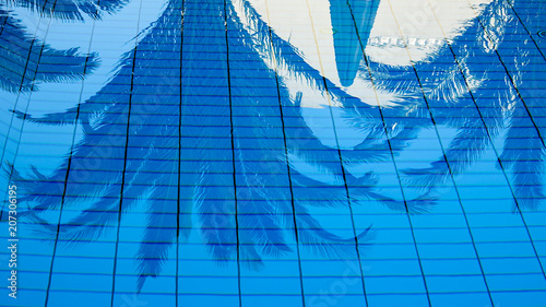 Palm trees reflected in the...