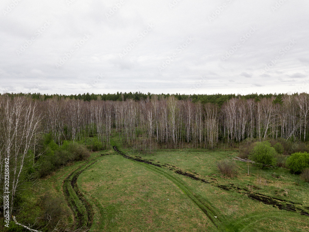 A fallen tree on a glade surrounded by a birch forest and other trees, with a dirt road and bushes in Russia. Aerial photography from the air by a quadrocopter.