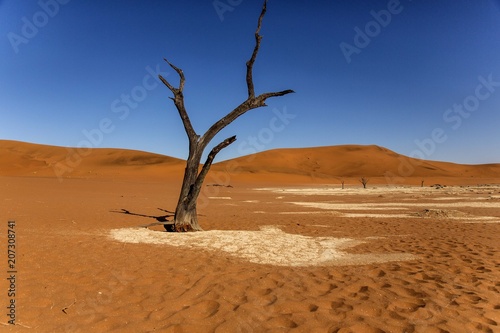 namibia