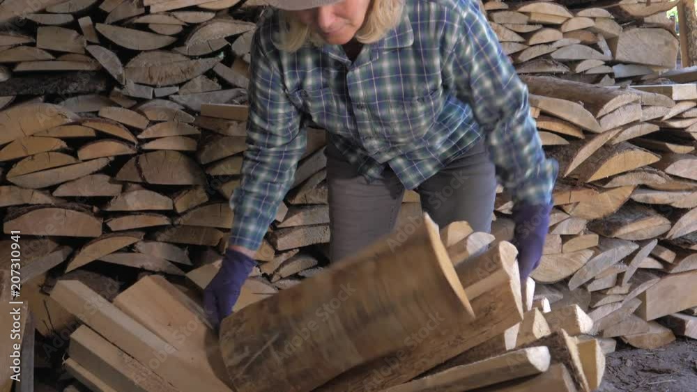Woman Takes Firewood From Warehouse And Puts Them In The Cart For Transportation Woman Takes Firewood From Warehouse And Puts Them In The Cart For Transportation