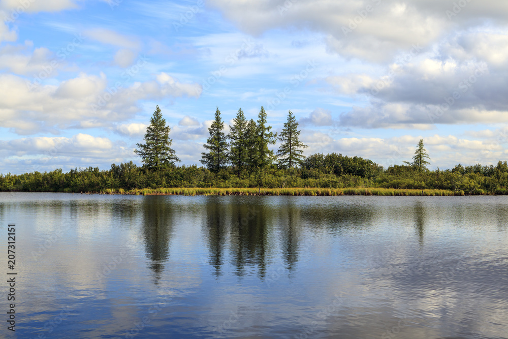 Landscape of the forest-tundra and forest on the horizon Landscape of the forest-tundra and forest on the horizon