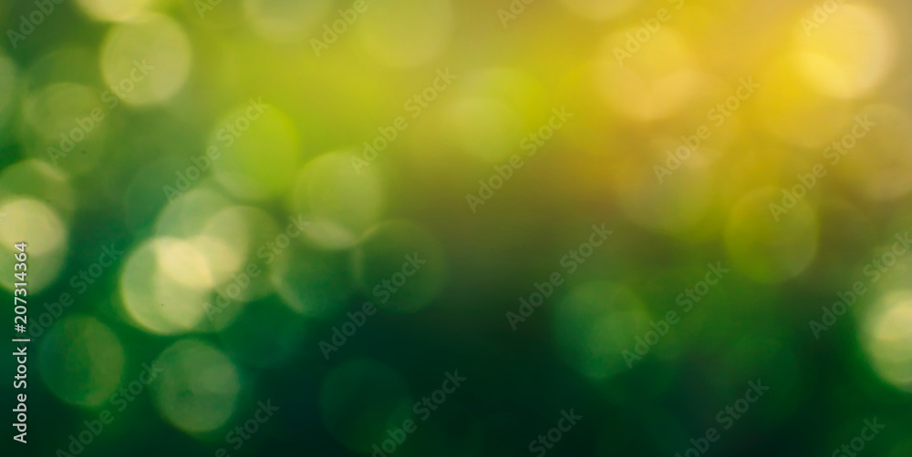 Obraz premium Bokeh blur green background