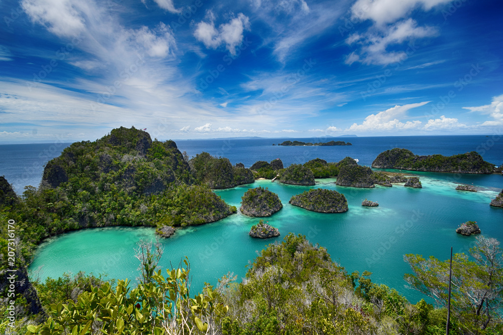 Pianemo islands at the Raja Ampat archipelago (Indonesia)