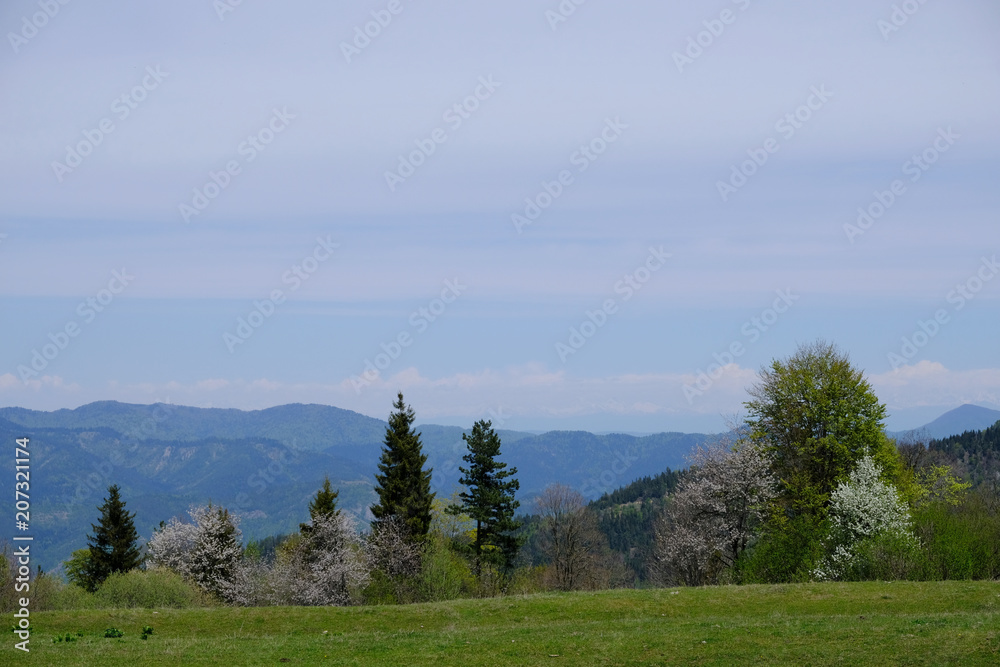 Gruzja, płaskowyż Dabadzveli - wiosna w górach z kwitnącymi drzewami owocowymi