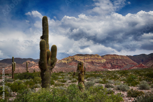 Landscape at Jujuy in northern Argentina