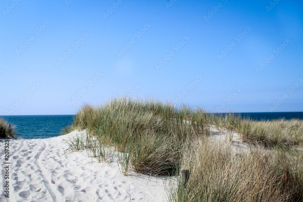 Urlaub am Meer, Dünen, Wellen, Strandübergang, Gras, Küste, Natur 