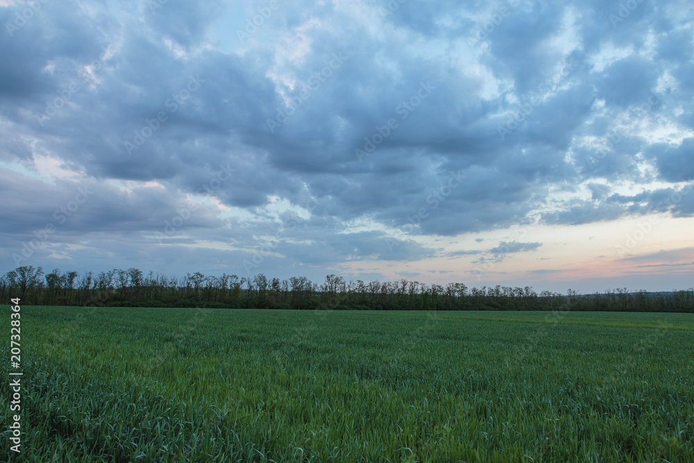 The movement of the thunderclouds over the fields of winter wheat in early spring in the vast steppes of the Don. The movement of the thunderclouds over the fields of winter wheat in early spring in the vast steppes of the Don.