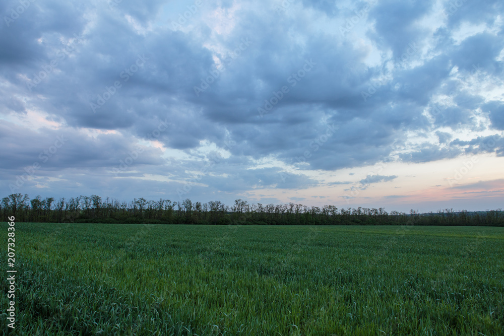 Obraz premium The movement of the thunderclouds over the fields of winter wheat in early spring in the vast steppes of the Don.