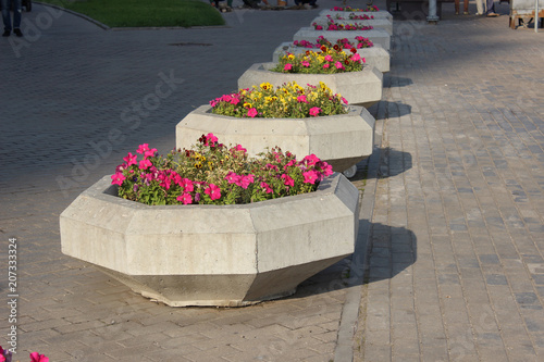 Concrete flowerpots with flowers on the city street