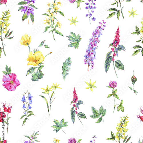 Watercolor summer medicinal floral seamless pattern, Wildflowers plant