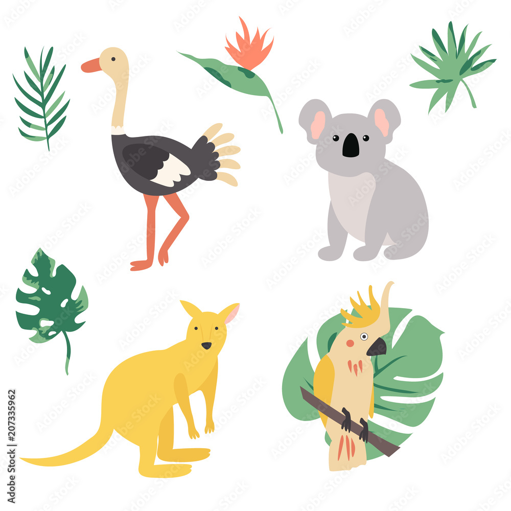 Fauna of Australia. Animal set Fauna of Australia. Animal set