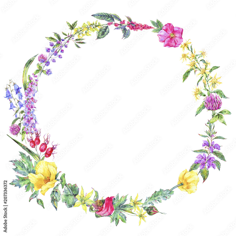 Watercolor summer medicinal floral wreath, Wildflowers plant