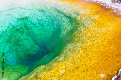 Morning Glory Yellowstone National Park