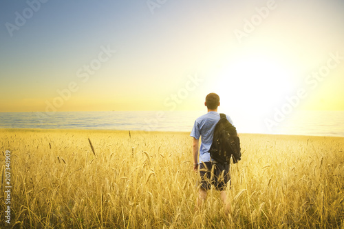 Man on yellow wheat meadow. © Andrii Salivon