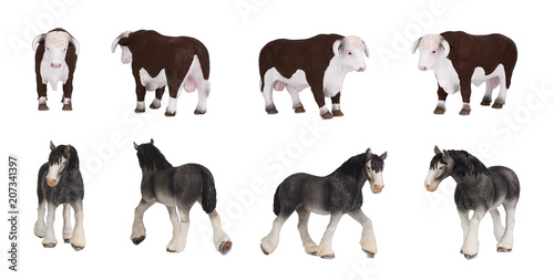 Pets bull and horse isolated on white background, various poses