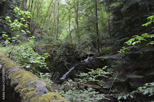 Birnham Glen, Perthshire, Scotland