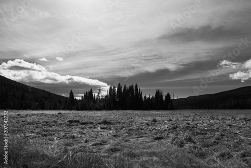 Black and white landscape of a meadow with mountains and trees in silhouette in the background at Colorado Rocky Mountain National Park.