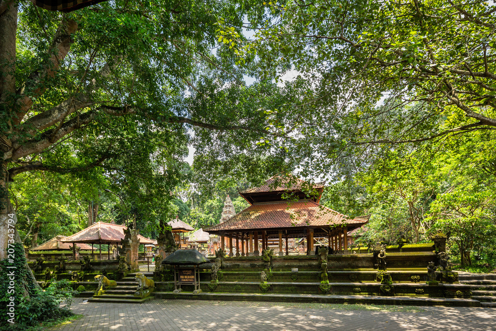 Temples at the Sacred Forest Monkey Sanctuary, Ubud, Bali Temples at the Sacred Forest Monkey Sanctuary, Ubud, Bali