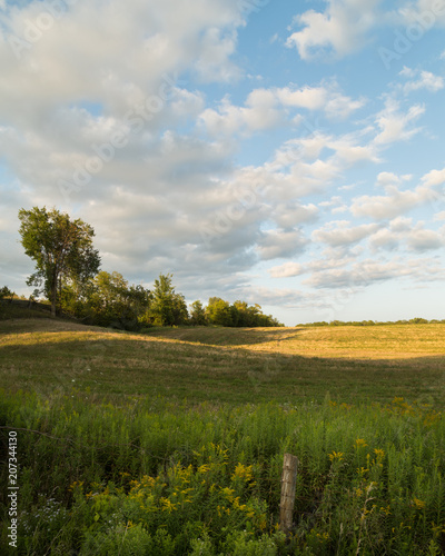 Yellow Farm Fields Under Blue and Cloudy Sky