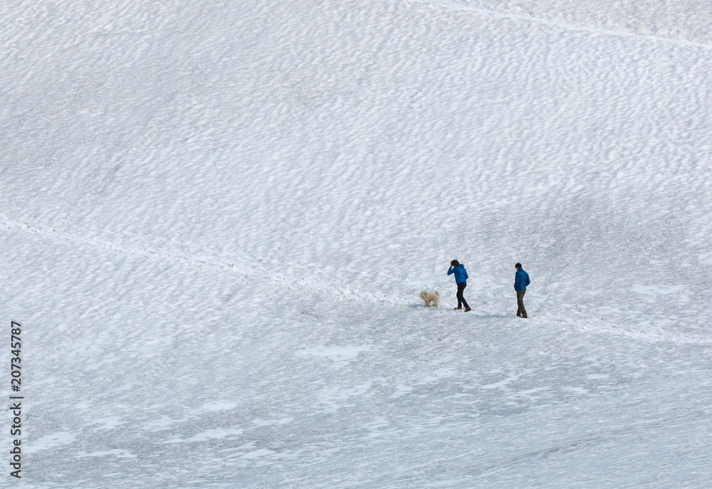 Hikers walking uphill on path in the snow with dog in the Stelvio national park, Italy