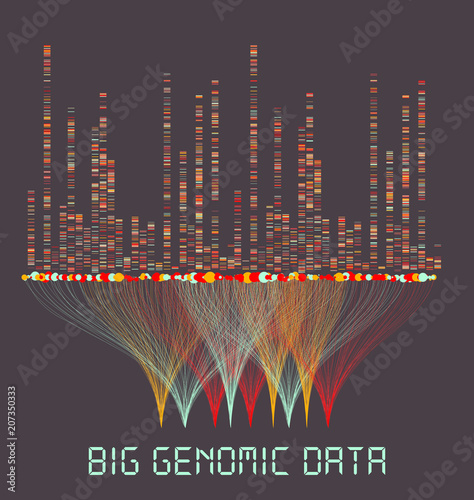 Big Genomic Data Visualization - DNA Test, Barcoding,  Genome Map Architecture  - Vector Graphic Template
 photo