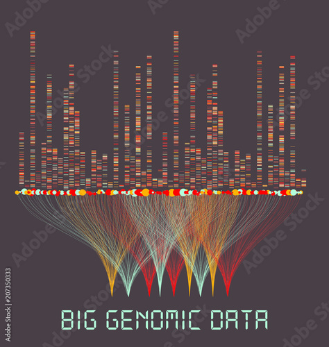 Big Genomic Data Visualization - DNA Test, Barcoding,  Genome Map Architecture  - Vector Graphic Template
