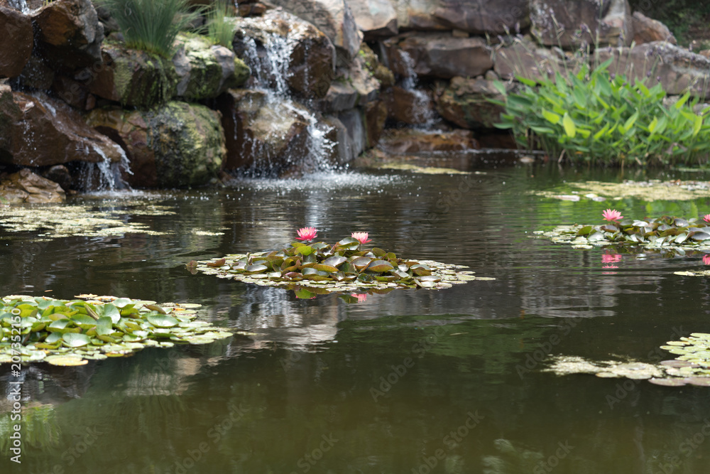 Pond with a waterfall and water plants in the city park on a sunny spring day Pond with a waterfall and water plants in the city park on a sunny spring day