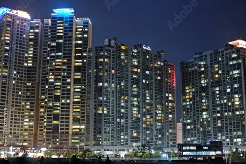 高層ビルの夜景 © rotoreto