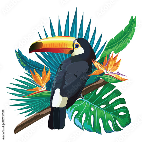 Toucan, exotic birds, tropical flowers, palm leaves, jungle leaves, bird of paradise. photo