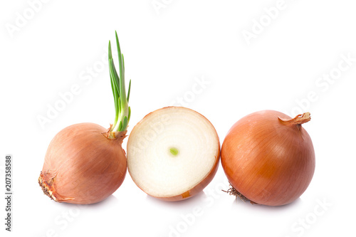 onions isolated on white background