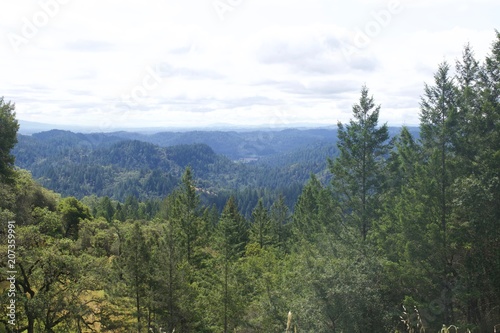 Armstrong Redwoods State Natural Reserve, California, United States - to preserve 805 acres (326 ha) of coast redwoods (Sequoia sempervirens). The reserve is located in Sonoma County, Guerneville.
