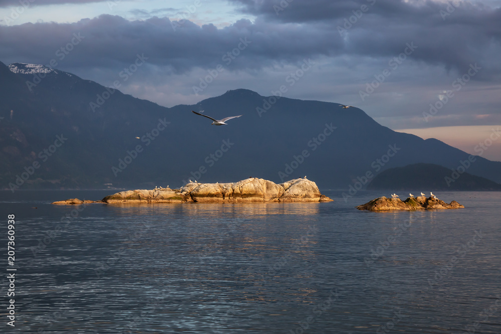 Rocky islands with birds during a striking and beautiful sunset. Taken in Howe Sound, North of Vancouver, British Columbia, Canada.