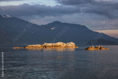 Rocky islands with birds during a striking and beautiful sunset. Taken in Howe Sound, North of Vancouver, British Columbia, Canada.