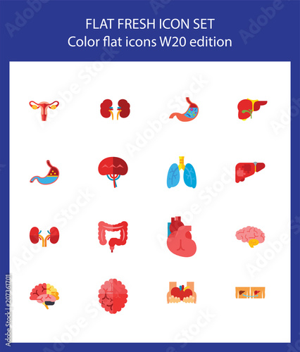 Nineteen internal organs flat vector icons collection on white background. Can be used for topics like anatomy, medicine, disease