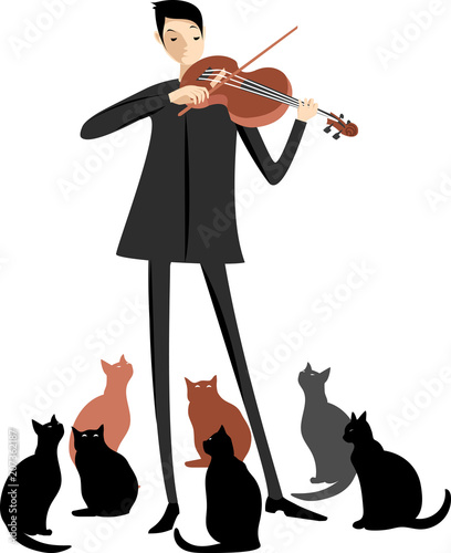 violinist and cats