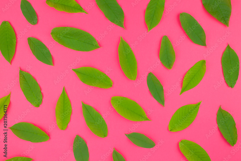 Flat lay pattern with fresh green leaves Flat lay pattern with fresh green leaves