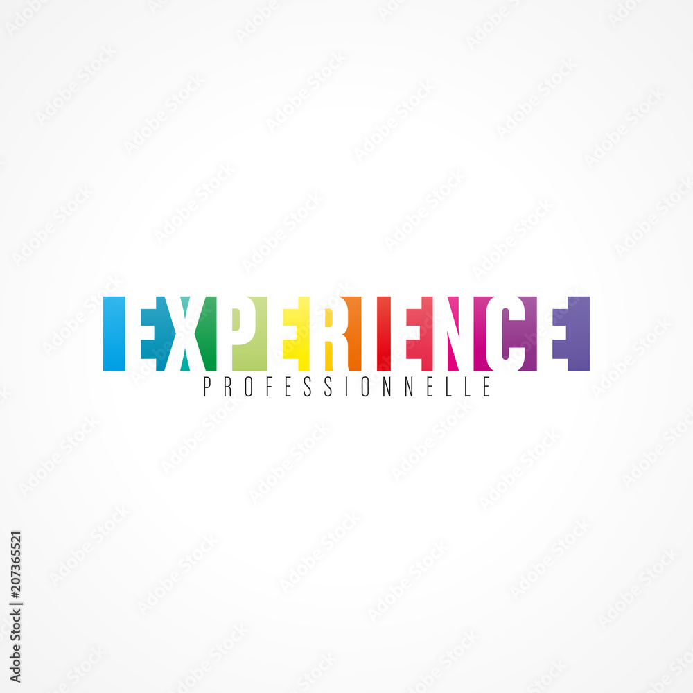 expérience professionnel expérience professionnel