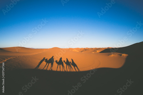 Vintage looking image of tourists riding camels in caravan in Sahara desert with camels shadows on a sand