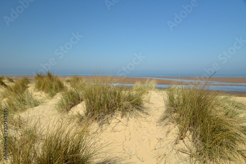 Fototapeta Naklejka Na Ścianę i Meble -  Path through sand dunes on Holkham Beach in Norfolk
