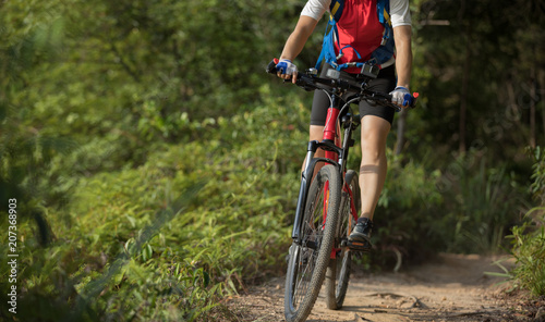 Mountain biker cycling on summer forest trail