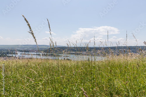 Blick auf den Rhein vom Rheingau aus