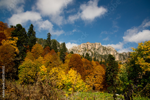 Golden autumn in the mountains of Adygea