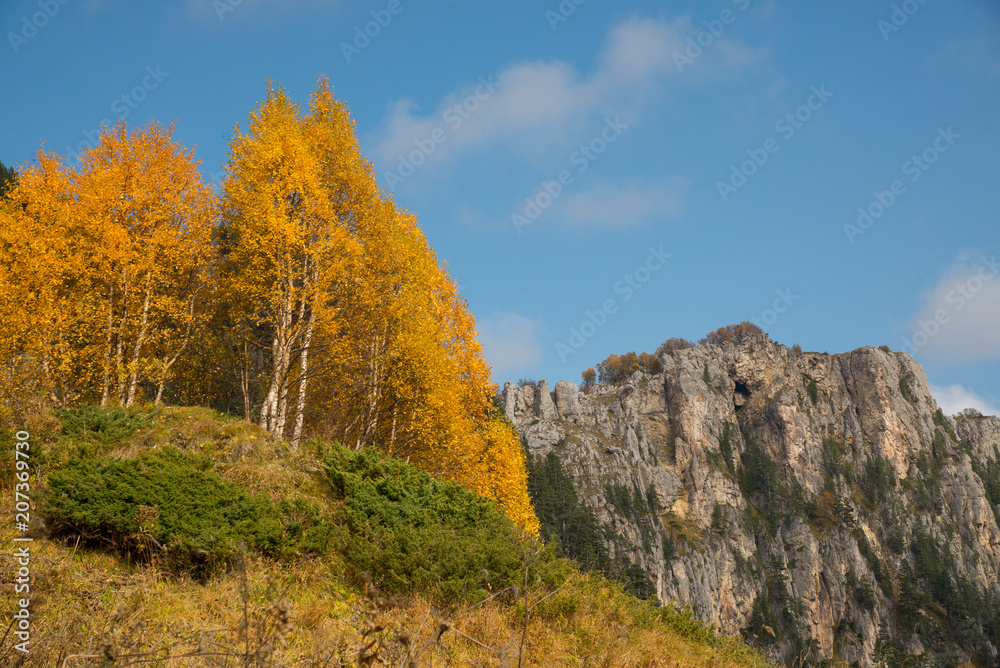 Golden autumn in the mountains of Adygea Golden autumn in the mountains of Adygea