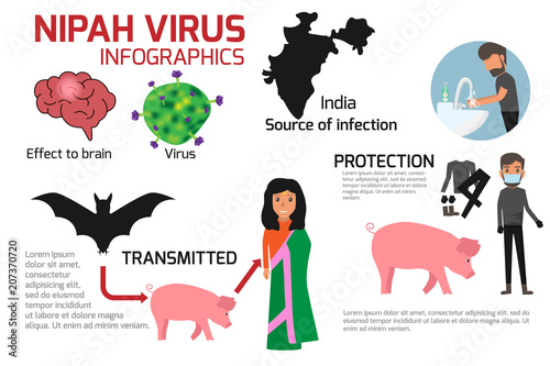 Nipah virus (niv) Infographics is a newly emerging zoonosis that causes severe disease in both animals and humans. Healthy cartoon concept vector illustration. Symptoms and prevention of Nipah Virus.