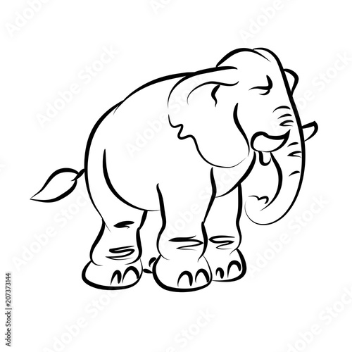 Elephant illustration